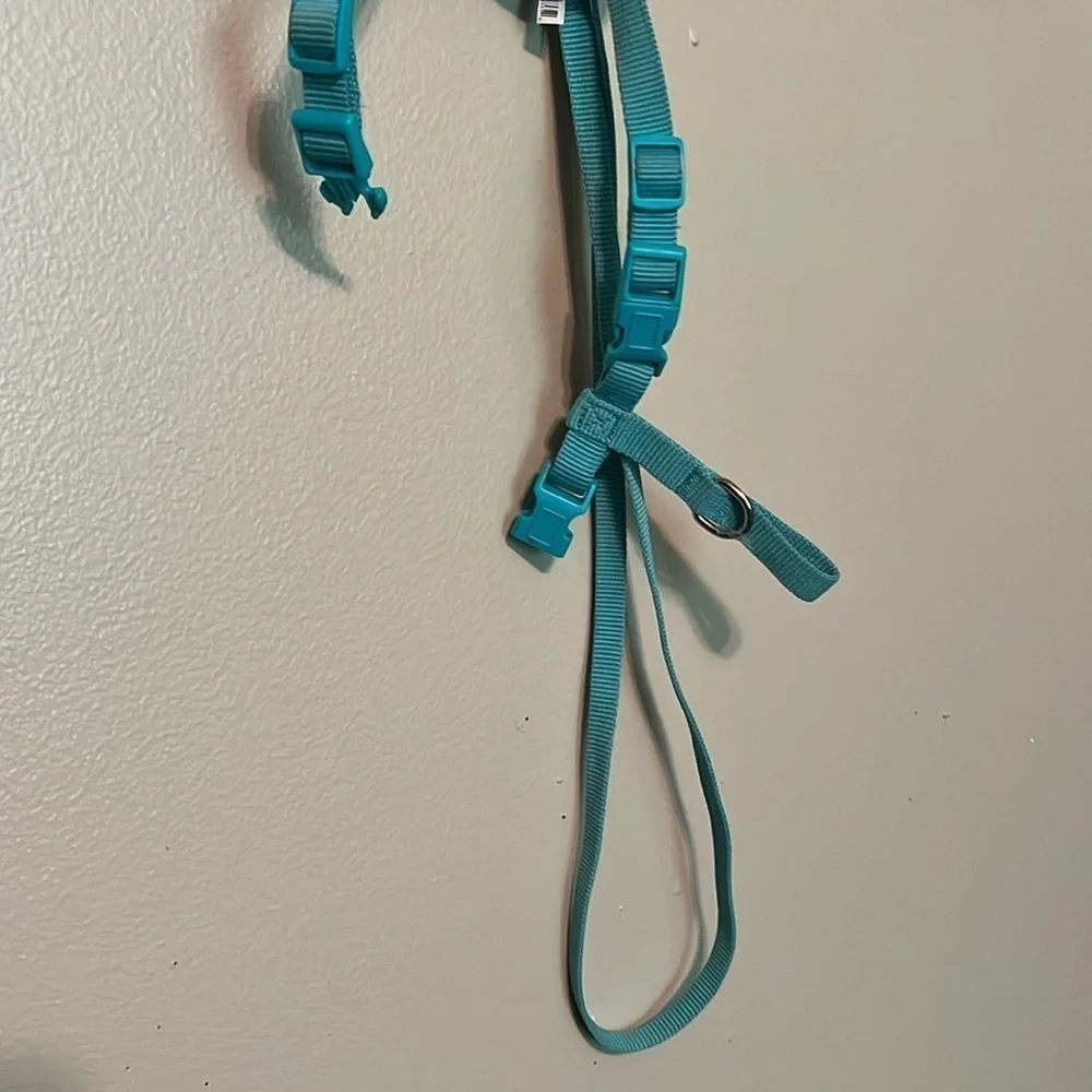 Vibrant Life Cat Harness/Leash/Collar color is blue